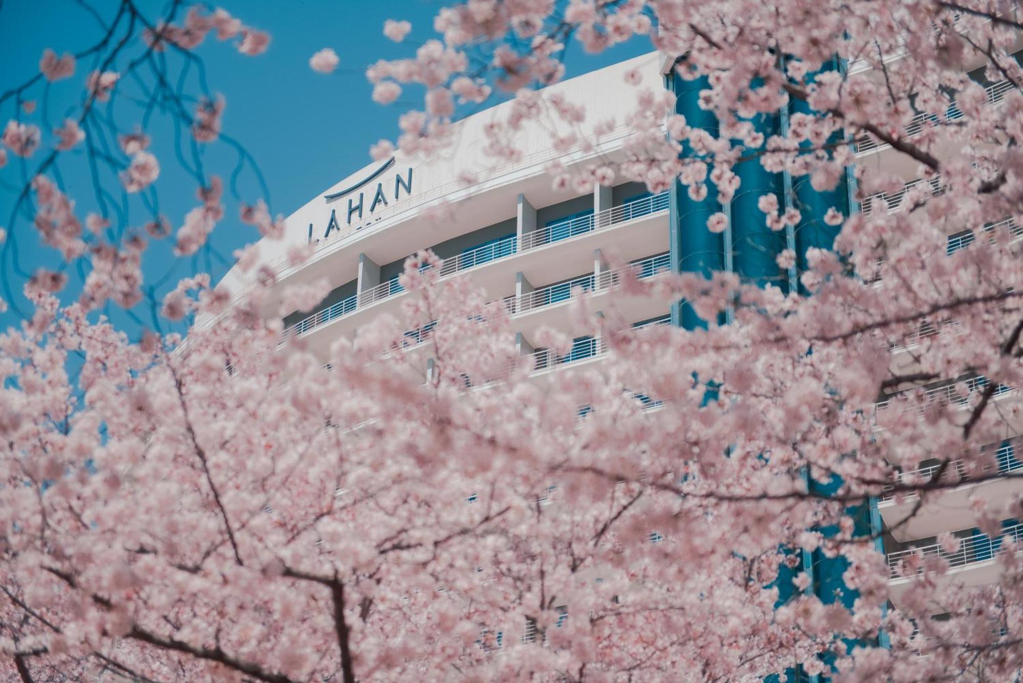 Lahan Select Gyeongju Exterior foto